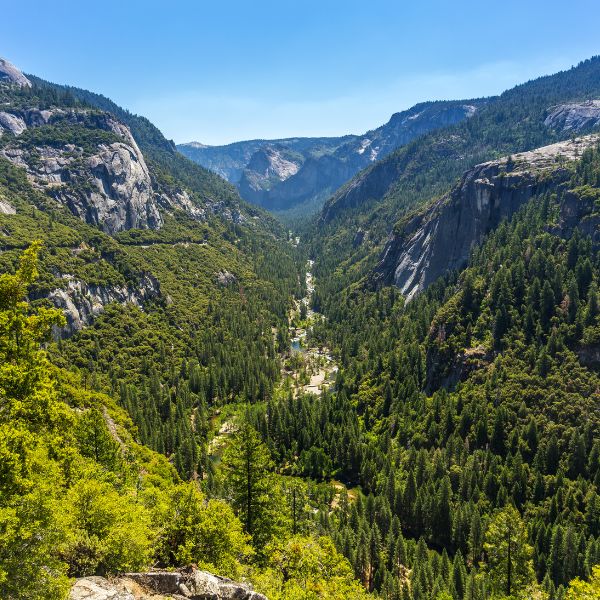 tioga pass yosemite 05