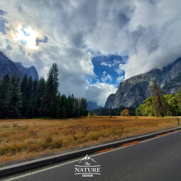 yosemite scenic drive new 06