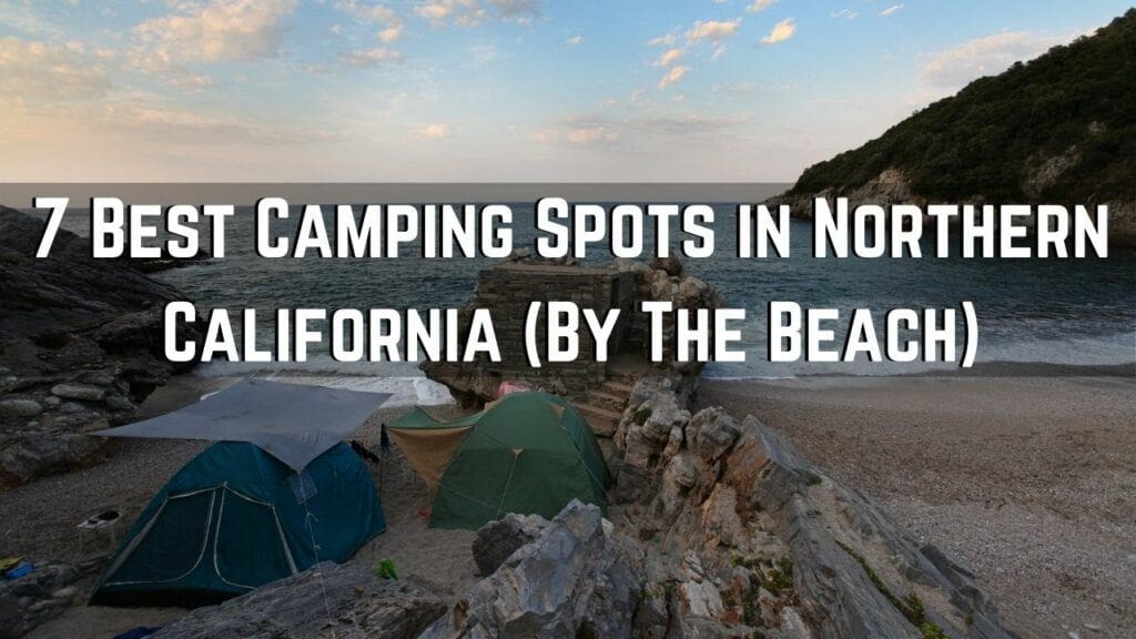 7 Best Beach Camping Spots On The Northern California Coast