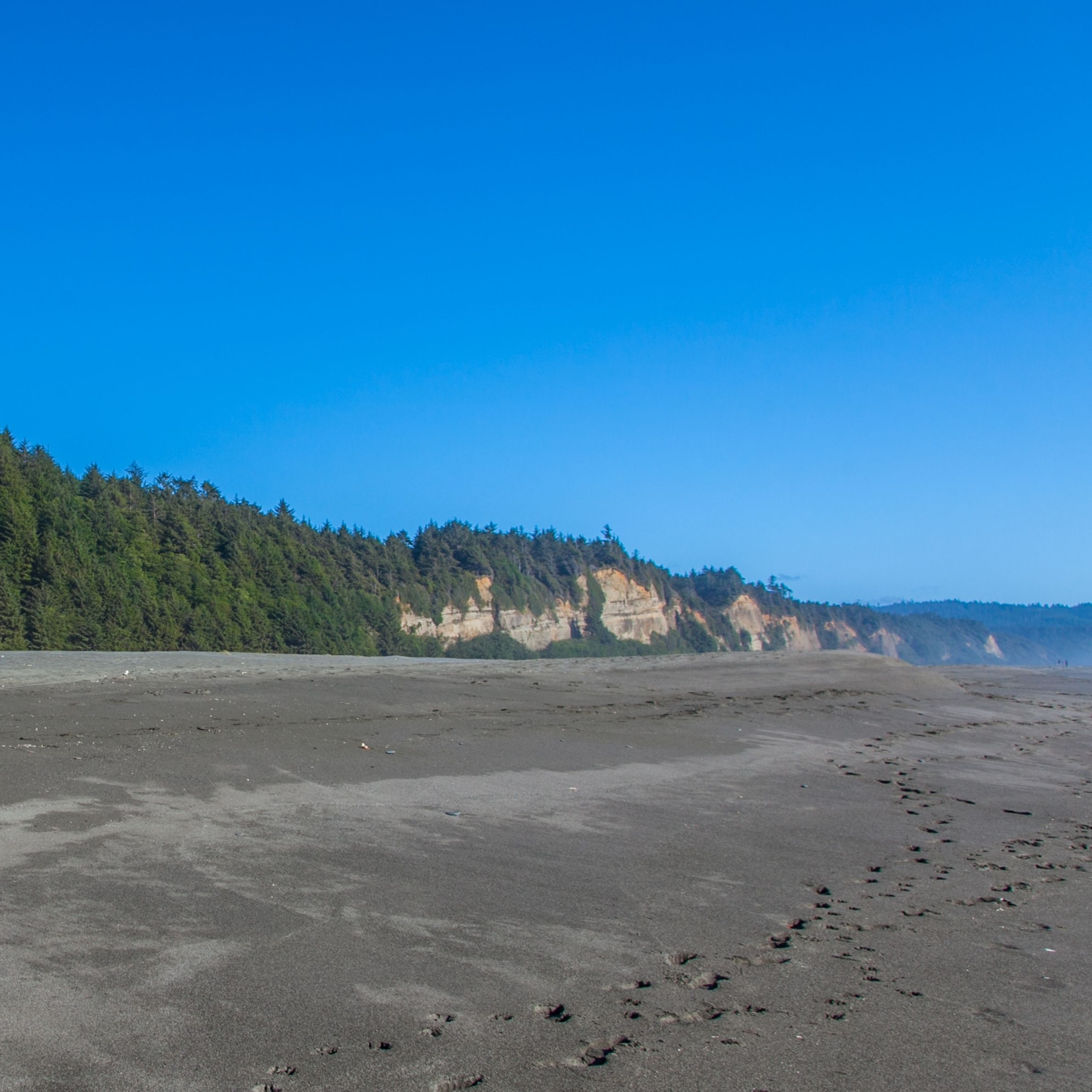 gold bluffs beach campground california