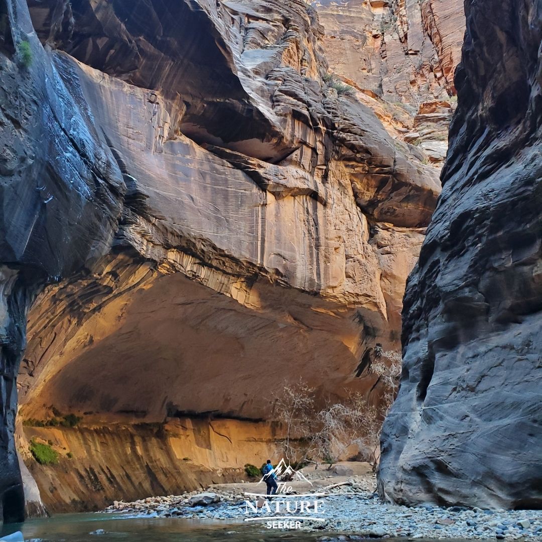 what to know about the narrows hike