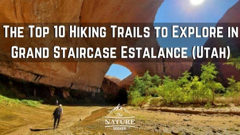 16 Best Hikes in Grand Staircase Escalante National Monument
