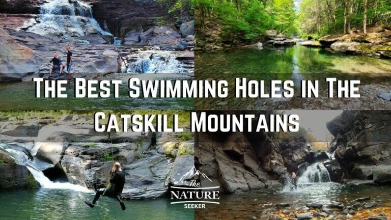 7 Best Catskills Swimming Holes With Waterfalls