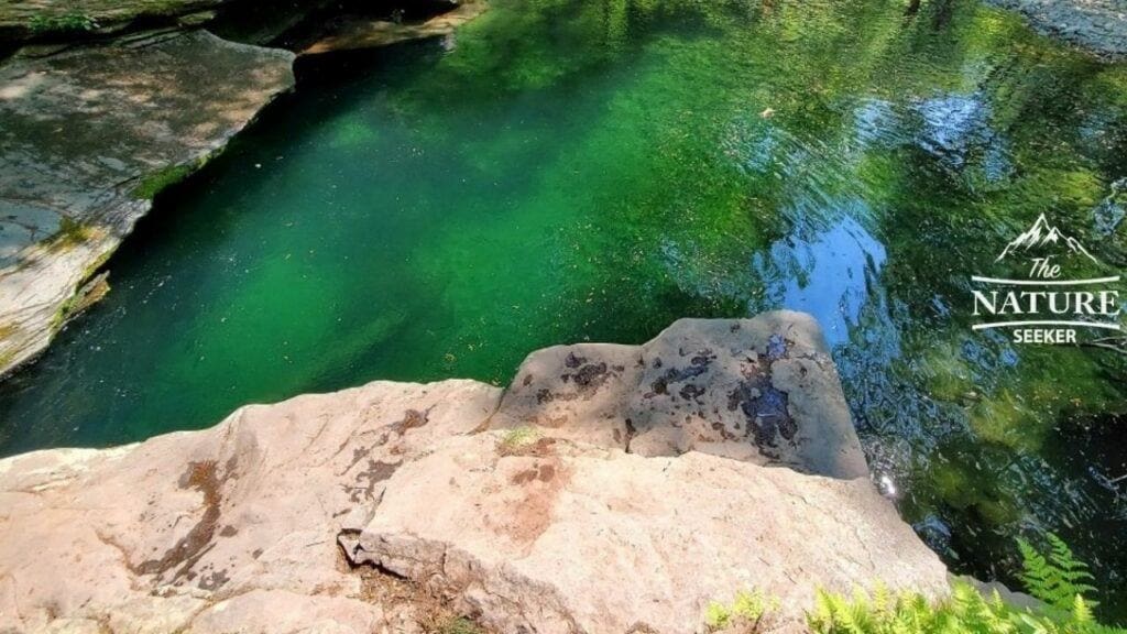 cliff jumping area of peekamoose blue hole in the catskills