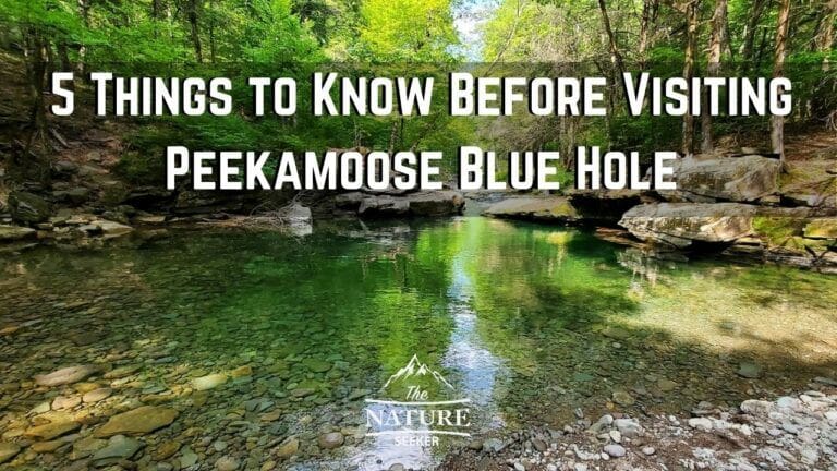5 Things to Know Before Visiting Peekamoose Blue Hole