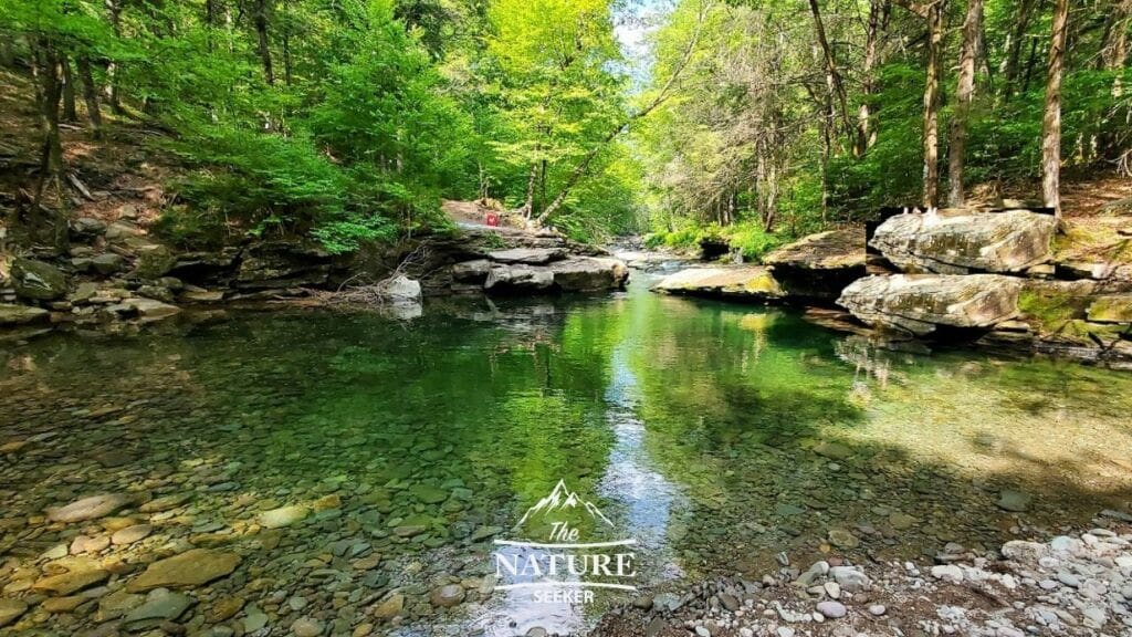 swimming hole in the catskills peekamoose blue hole 01