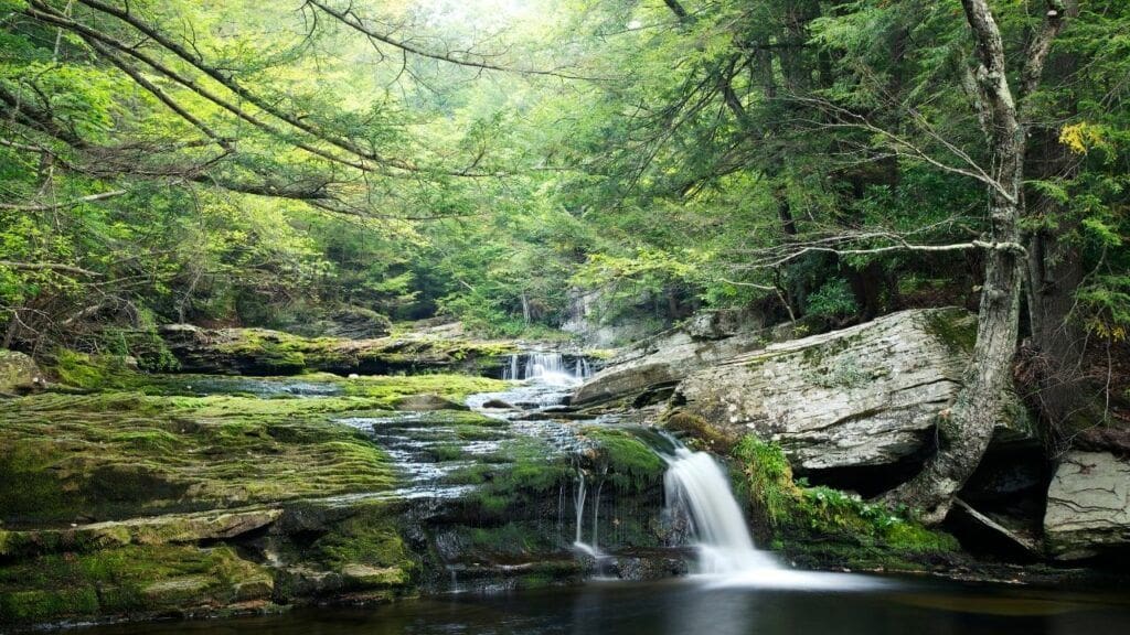 vernooy falls swimming hole in the catskill mountains