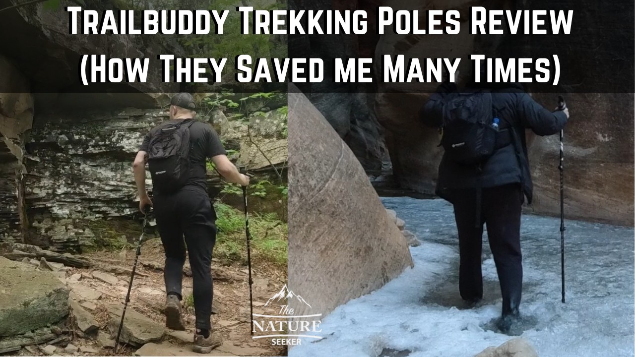 Trailbuddy Trekking Poles Review (How They Saved me)