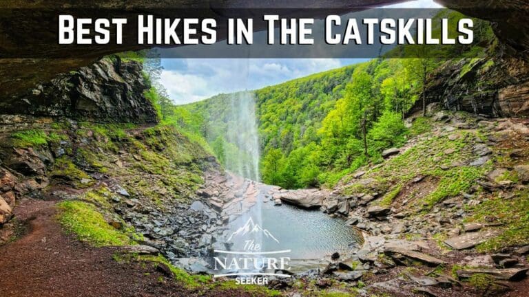 13 Best Hikes in The Catskills For Beginner And Above Levels