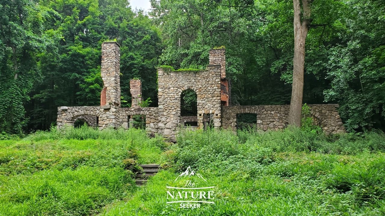 bull hill short loop blue trail and the ruins 07