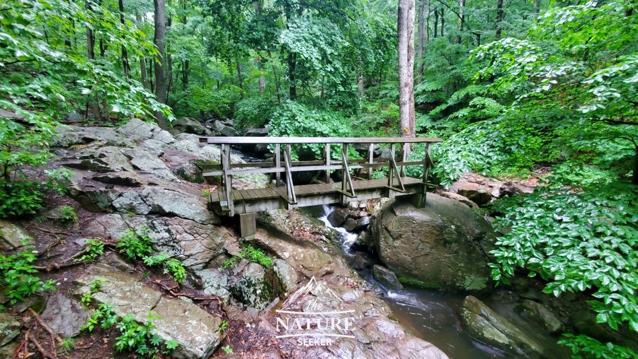 bull hill short loop red blue trail bridge and river 02