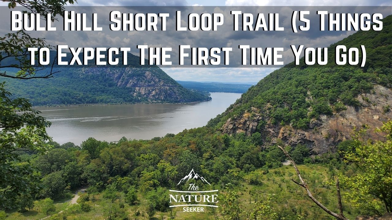 bull hill short loop trail at hudson highlands park review 01