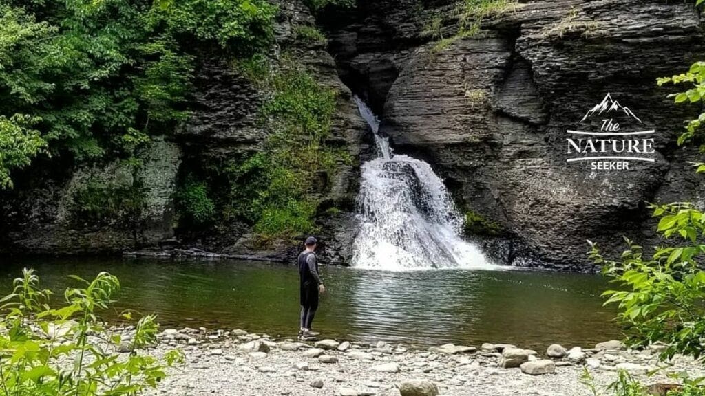 minekill falls catskill mountains hiking trail 03