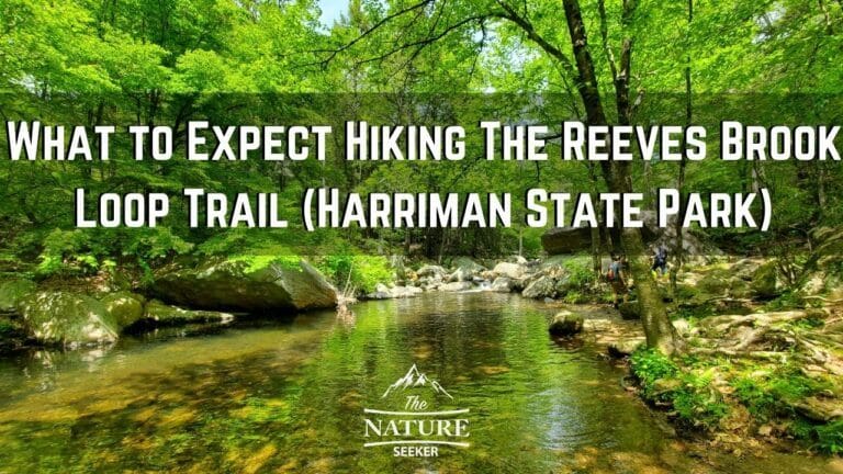 How to Hike The Reeves Brook Loop Trail For Beginners