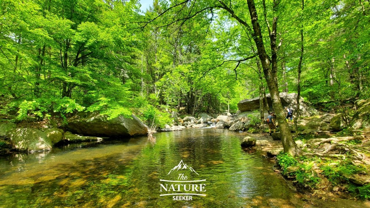 reeves brook loop trail harriman state park swimming hole 01