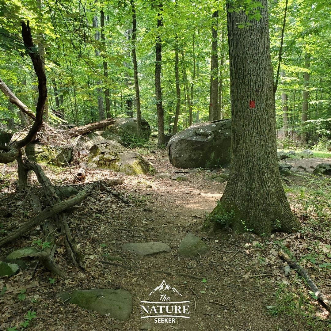 sourland mountain preserve trail markers image and boulders