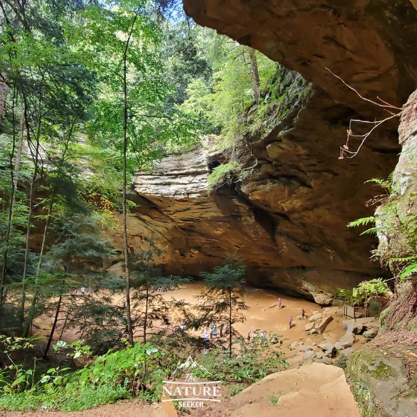 ash cave hocking hills new 05