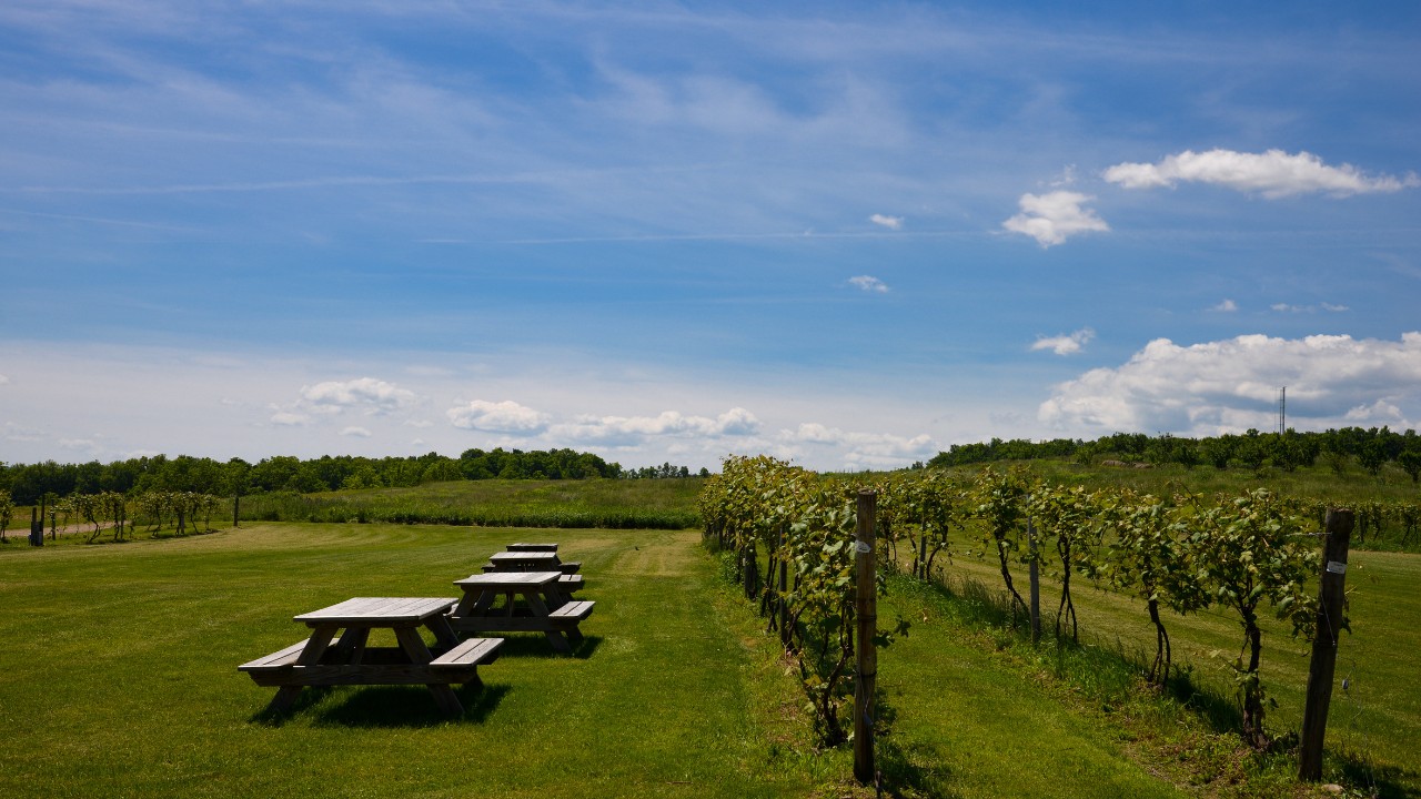finger lakes NY winery