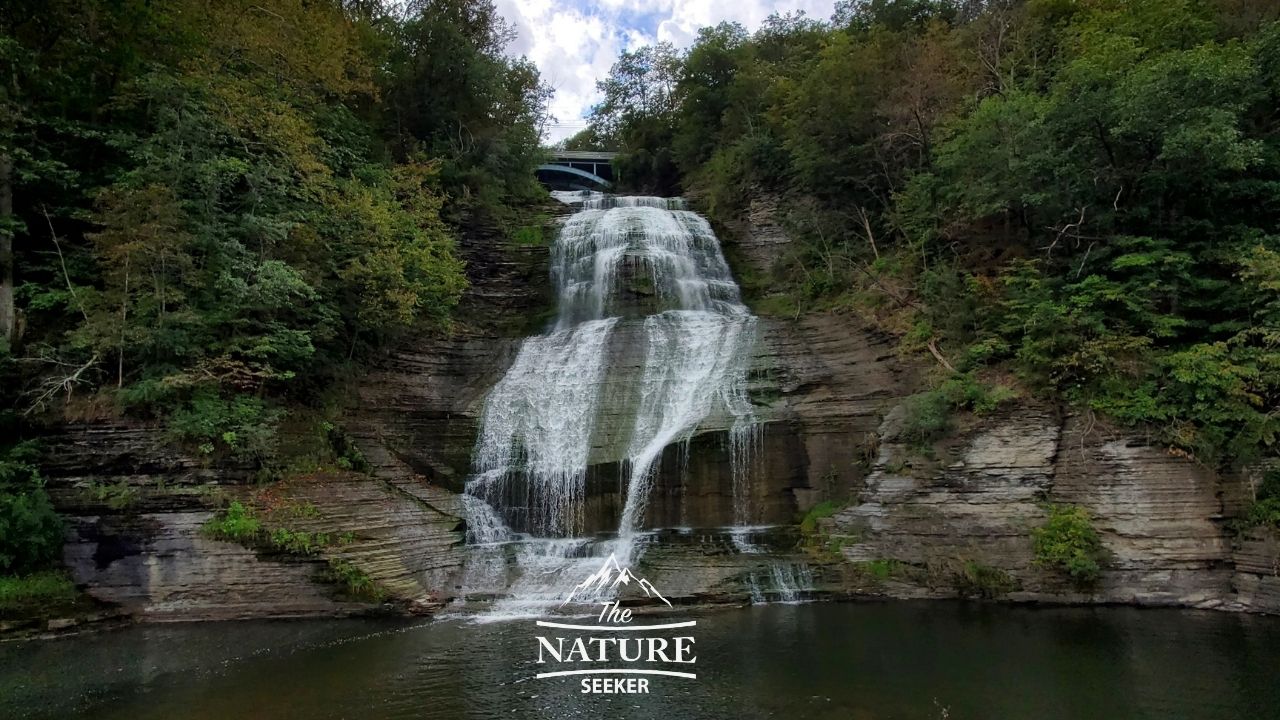 montour Shequaga falls finger lakes