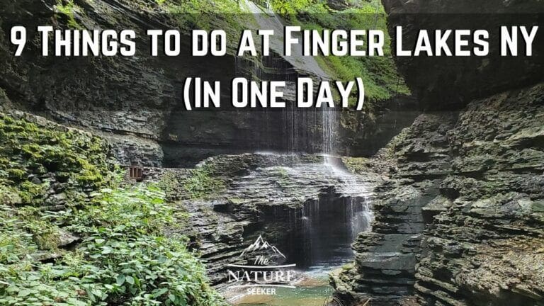 9 Things to do in Finger Lakes NY For First Time Visitors