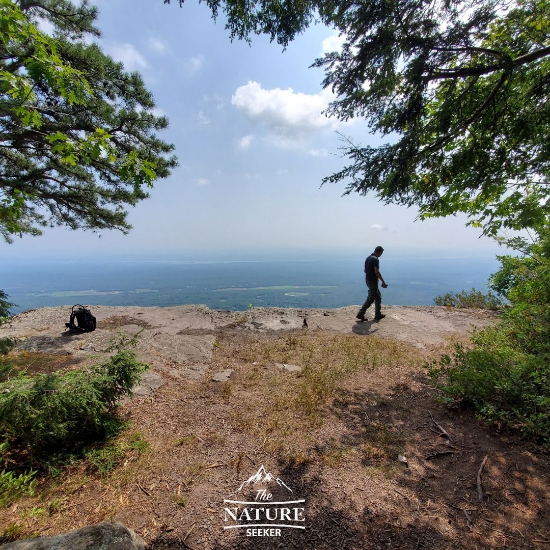 boulder rock catskills hudson valley hiking trail 05