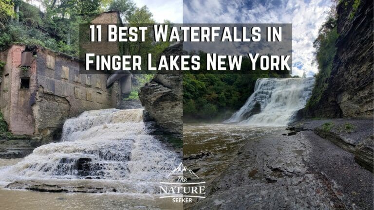 13 Best Finger Lakes Waterfalls to Check Out