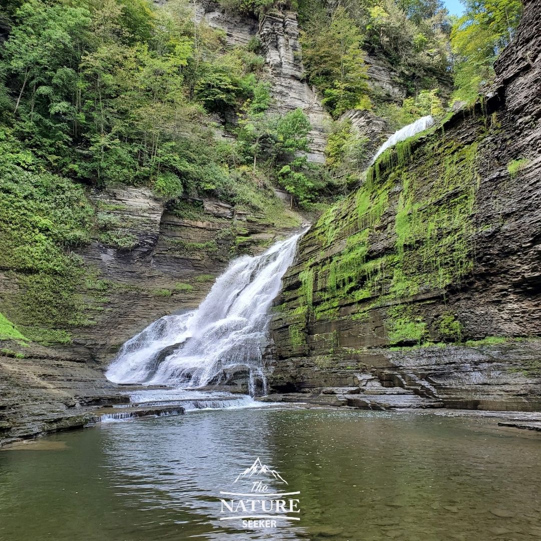 finger lakes waterfalls robert h treman falls