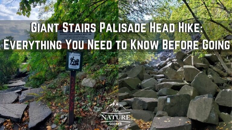How to Hike The Giant Stairs Palisades Trail in NJ