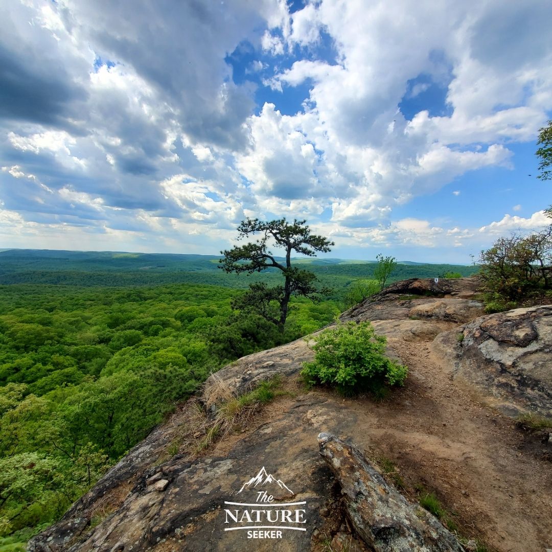 harriman state park hudson valley hiking trail 02