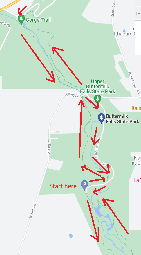 Lake Treman Bear and Rim Trail map