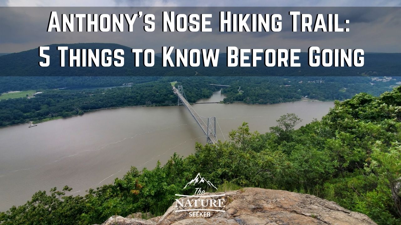 anthony nose hiking trail
