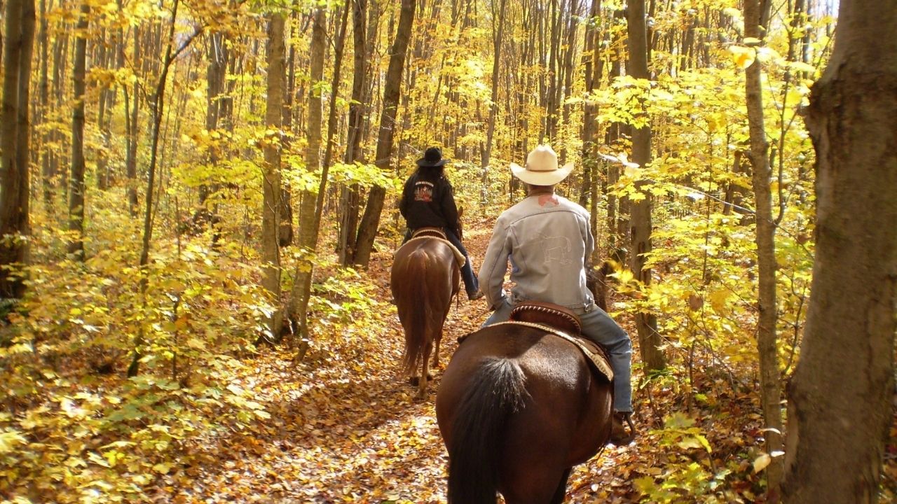 horseback riding at sterling forest state park