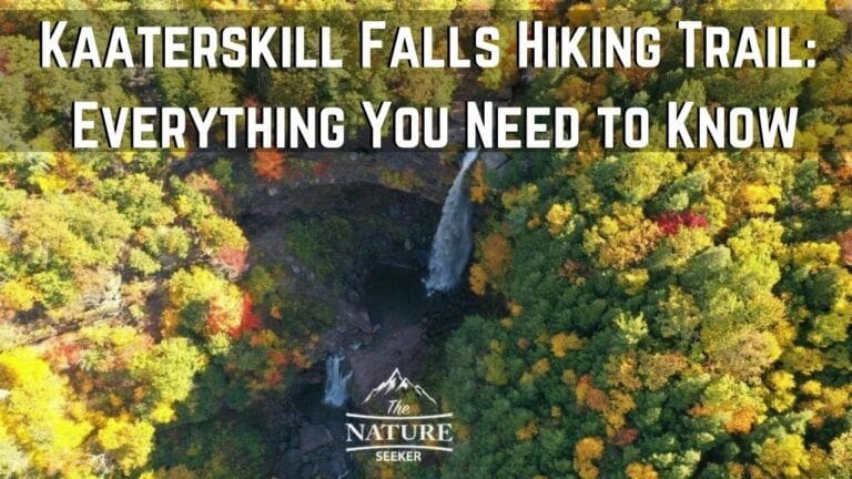 How to do The Kaaterskill Falls Hike For First Time Visitors