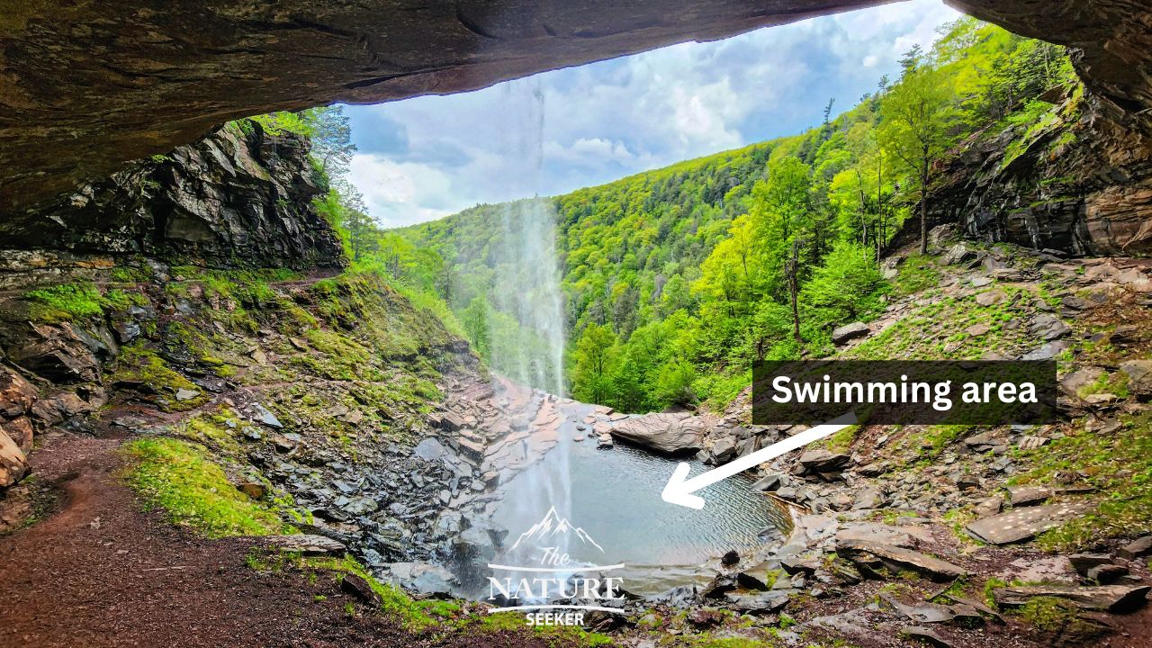 kaaterskill falls swimming new 02