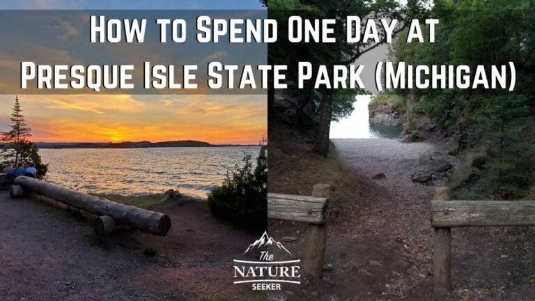 8 Best Things to do in Presque Isle Park Michigan