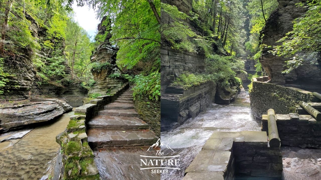 robert h treman state park buttermilk falls state park trail loop