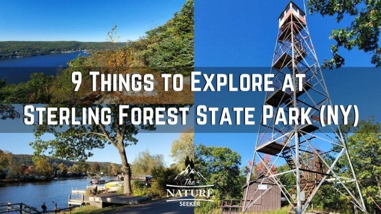 9 Things to Explore at Sterling Forest State Park