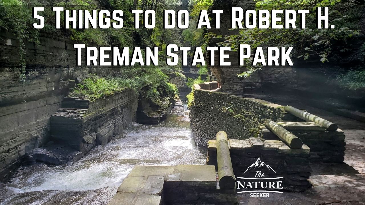 things to do at Robert H Treman State Park