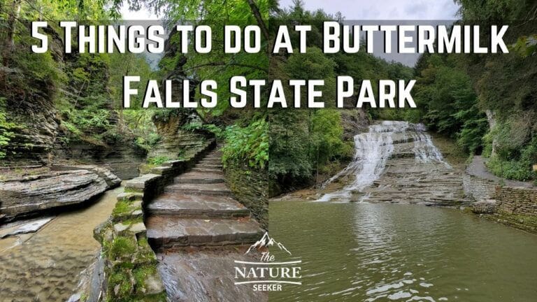 5 Things to do at Buttermilk Falls State Park