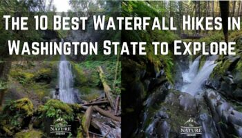 The 10 Best Waterfall Hikes to Explore in Washington State