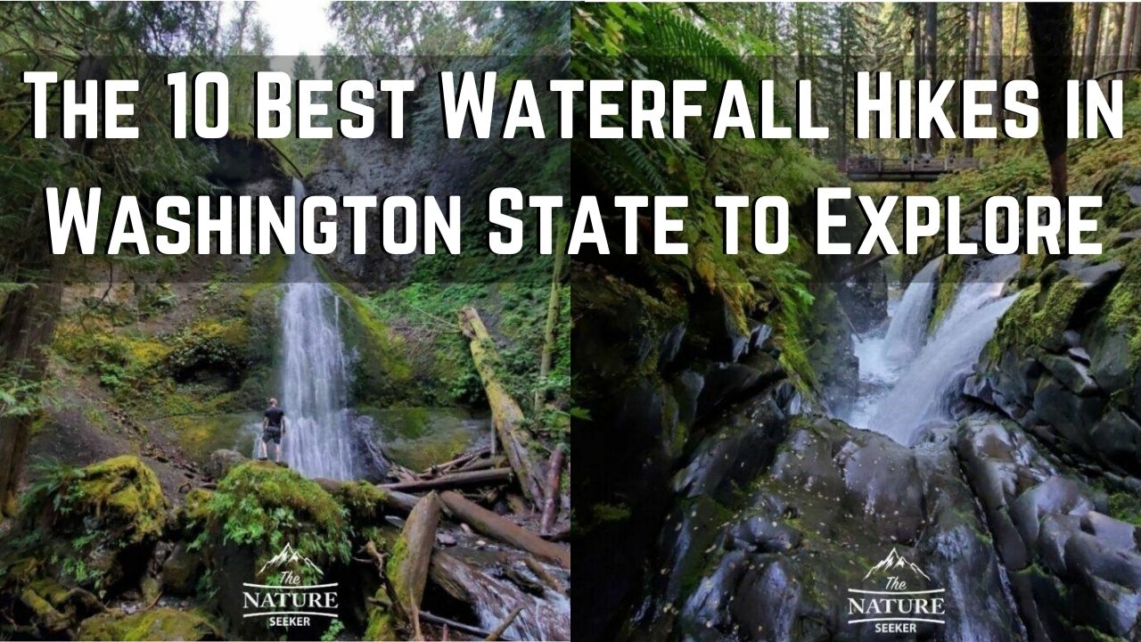 best waterfall hikes washington