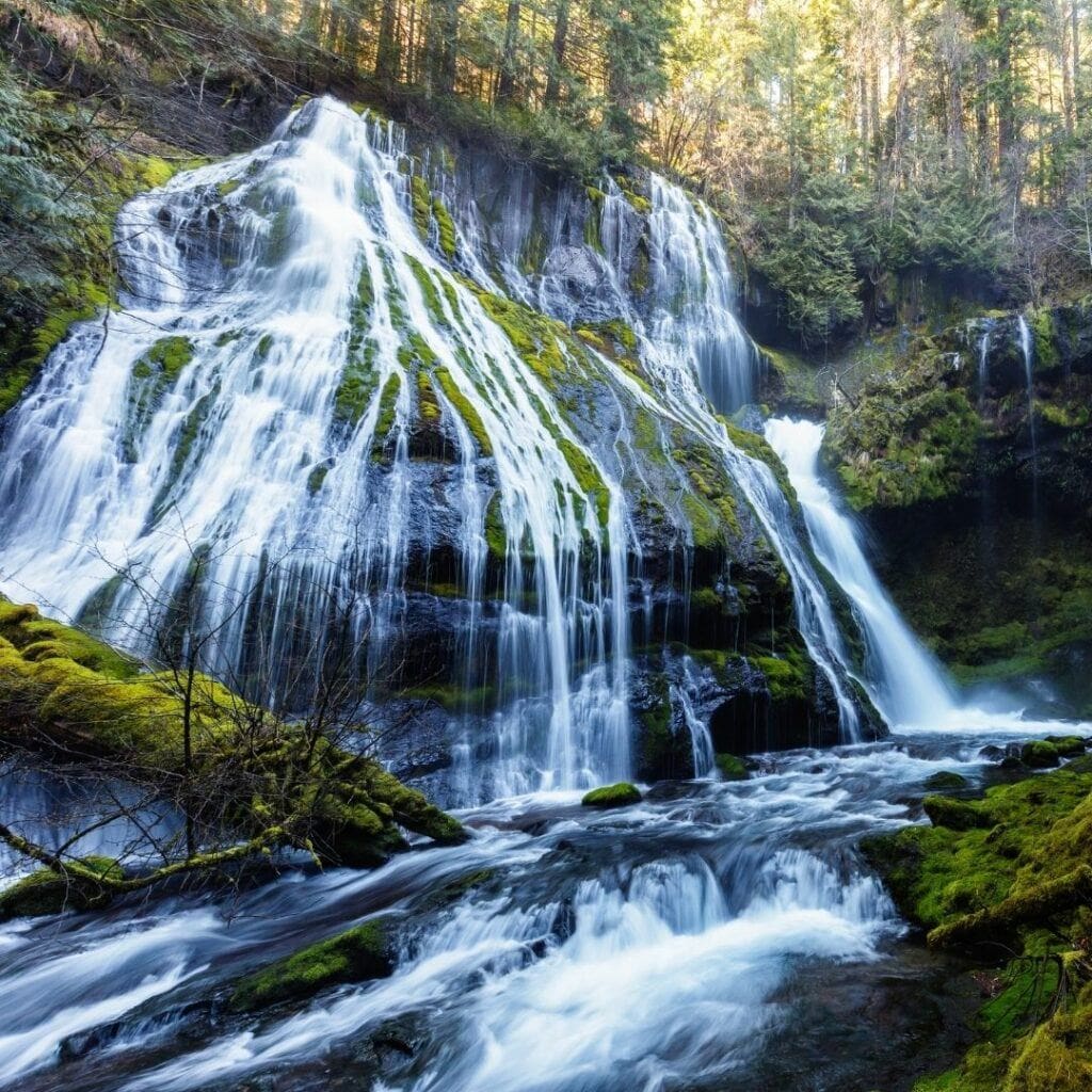 12 Stunning Washington Waterfall Hikes to Explore
