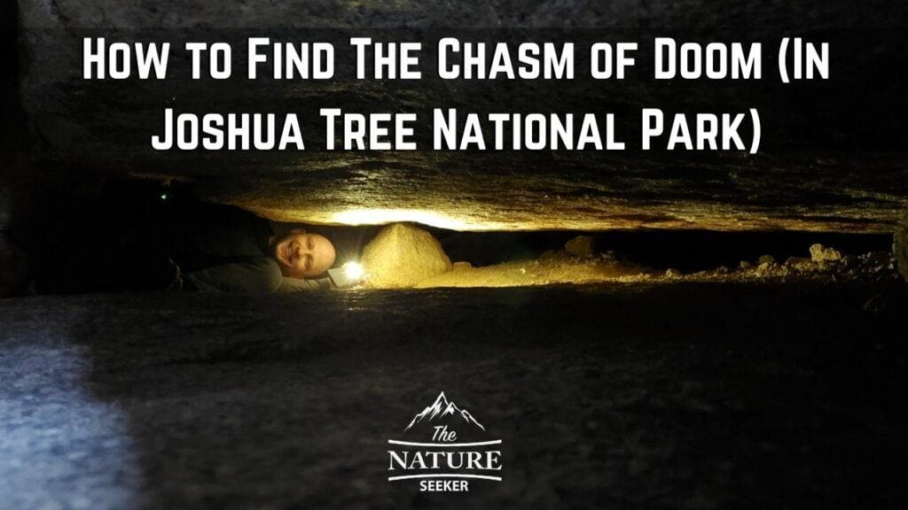 How to Find The Secret Chasm of Doom Joshua Tree Hike