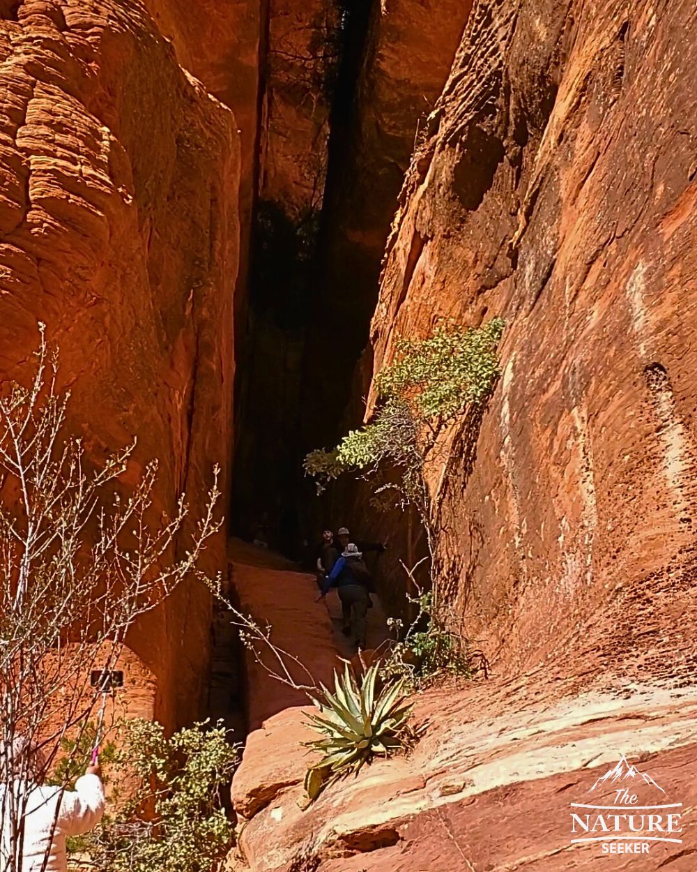 hiking up to sedona subway cave photo