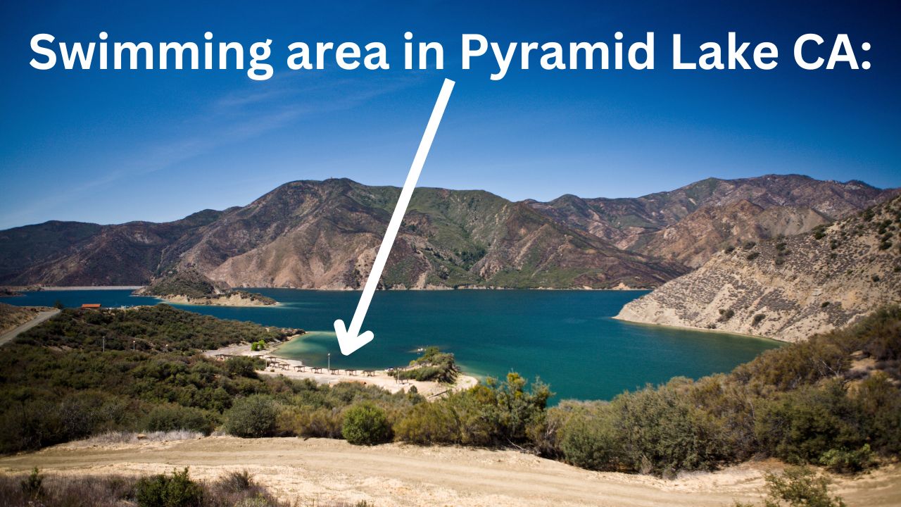 can you swim in pyramid lake california new 01
