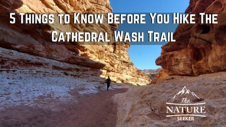 5 Things to Know Before You Hike The Cathedral Wash Trail