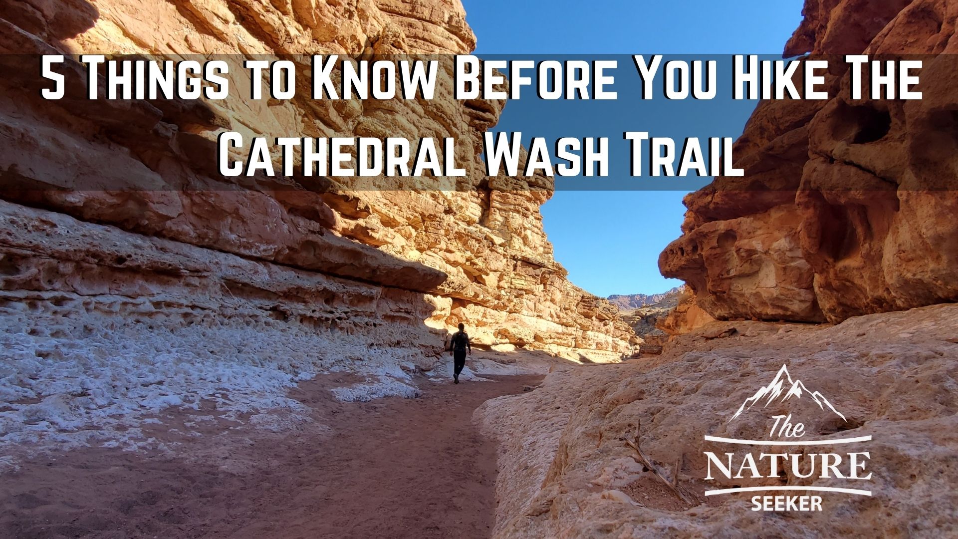cathedral wash trail arizona 01