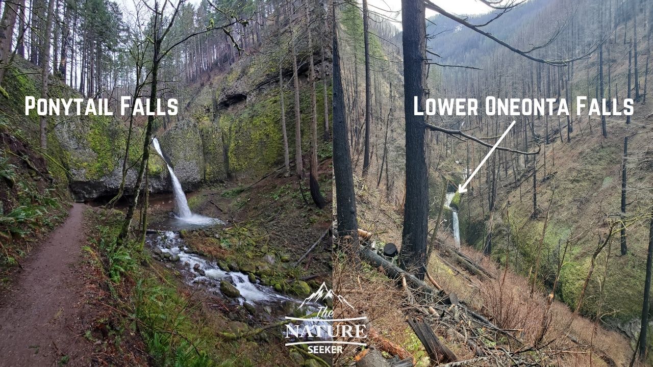 ponytail falls and lower oneonta falls 03