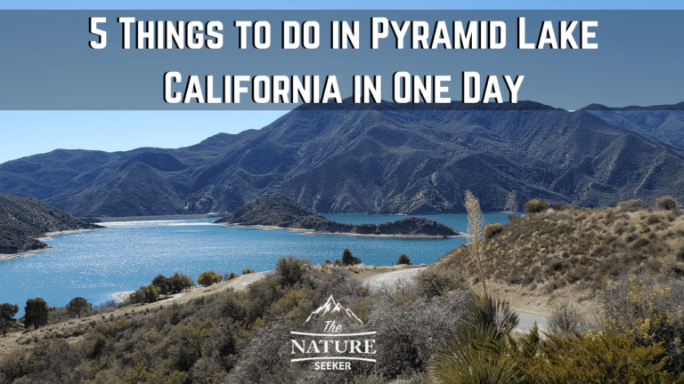 5 Things to do in Pyramid Lake California in One Day