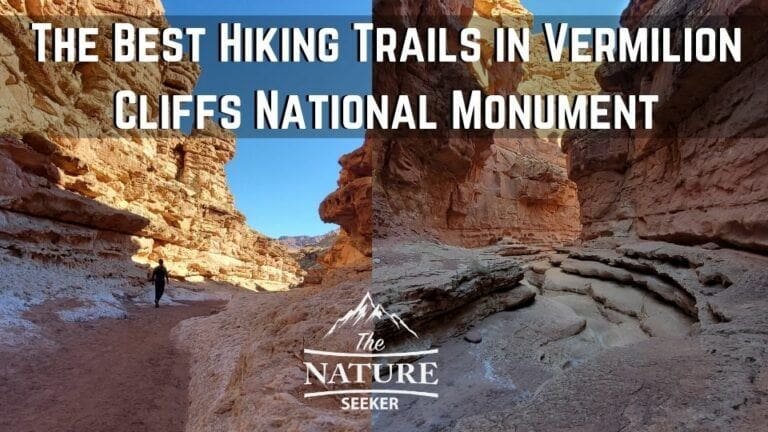 The 9 Best Vermilion Cliffs National Monument Hiking Trails